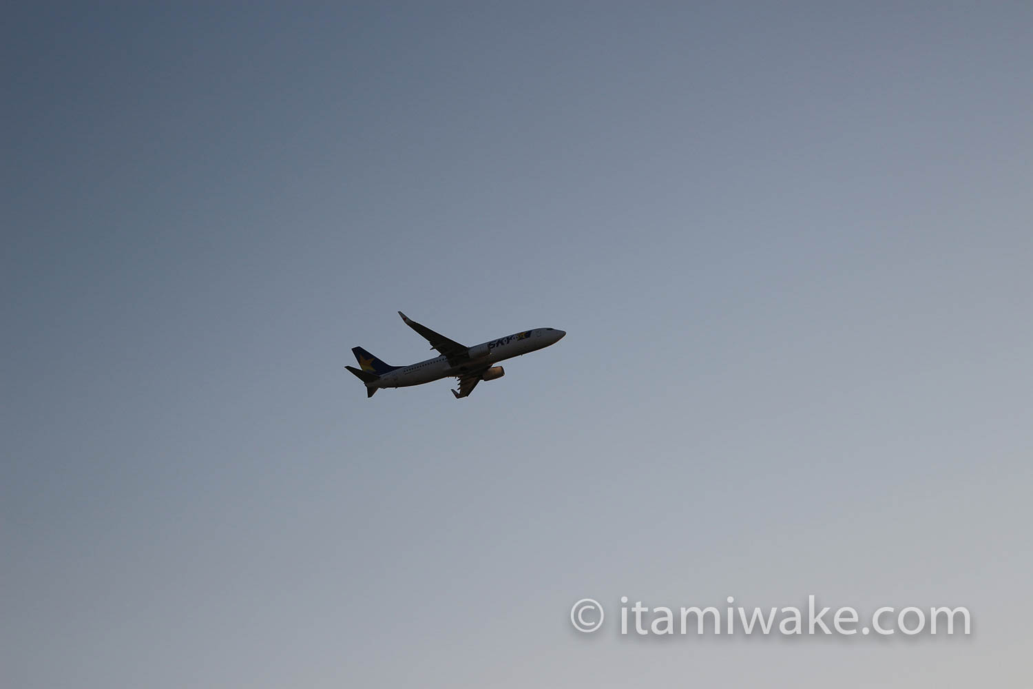 飛行機