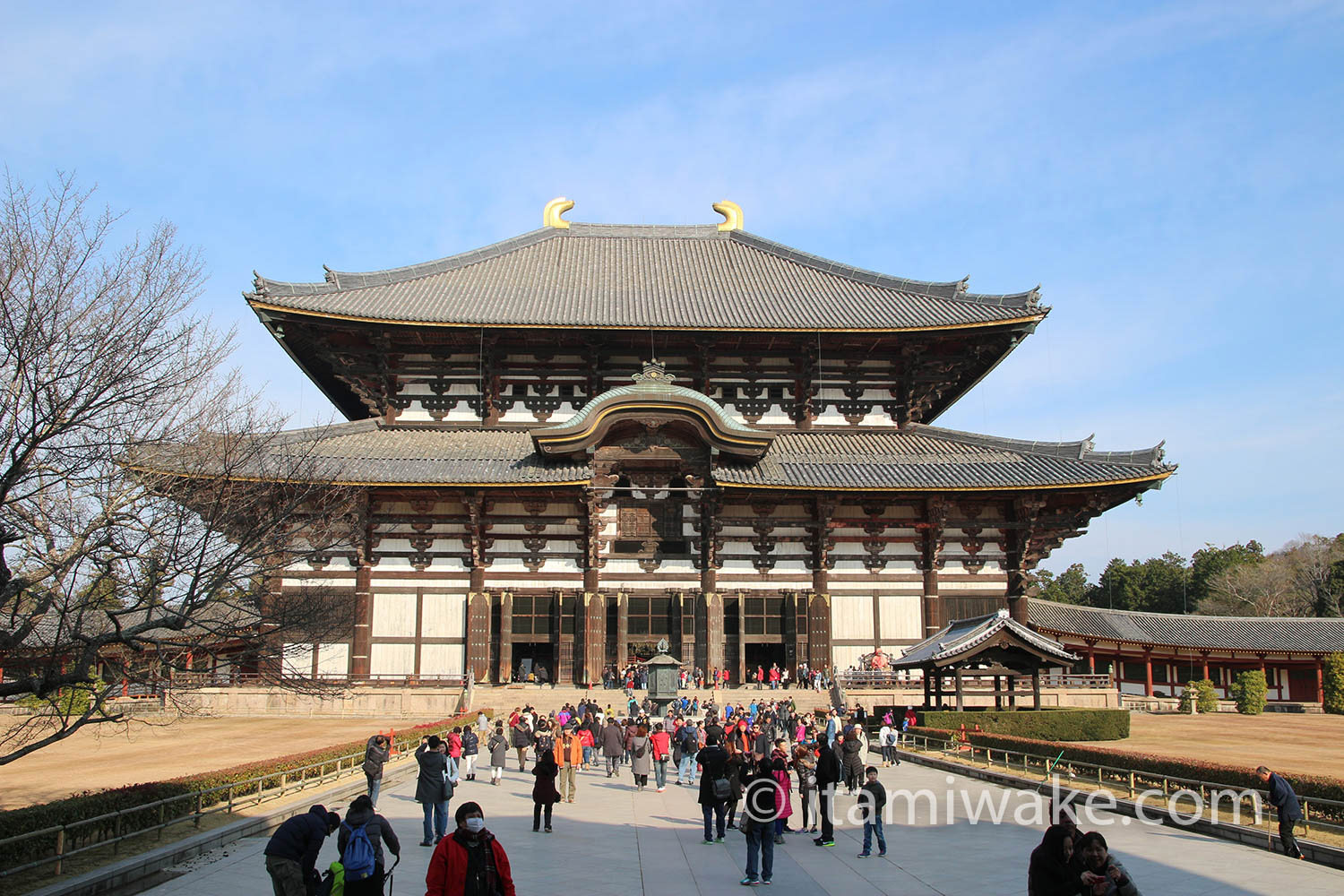 東大寺