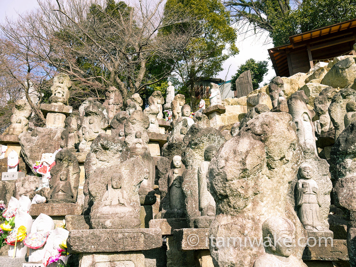 地味な水子地蔵