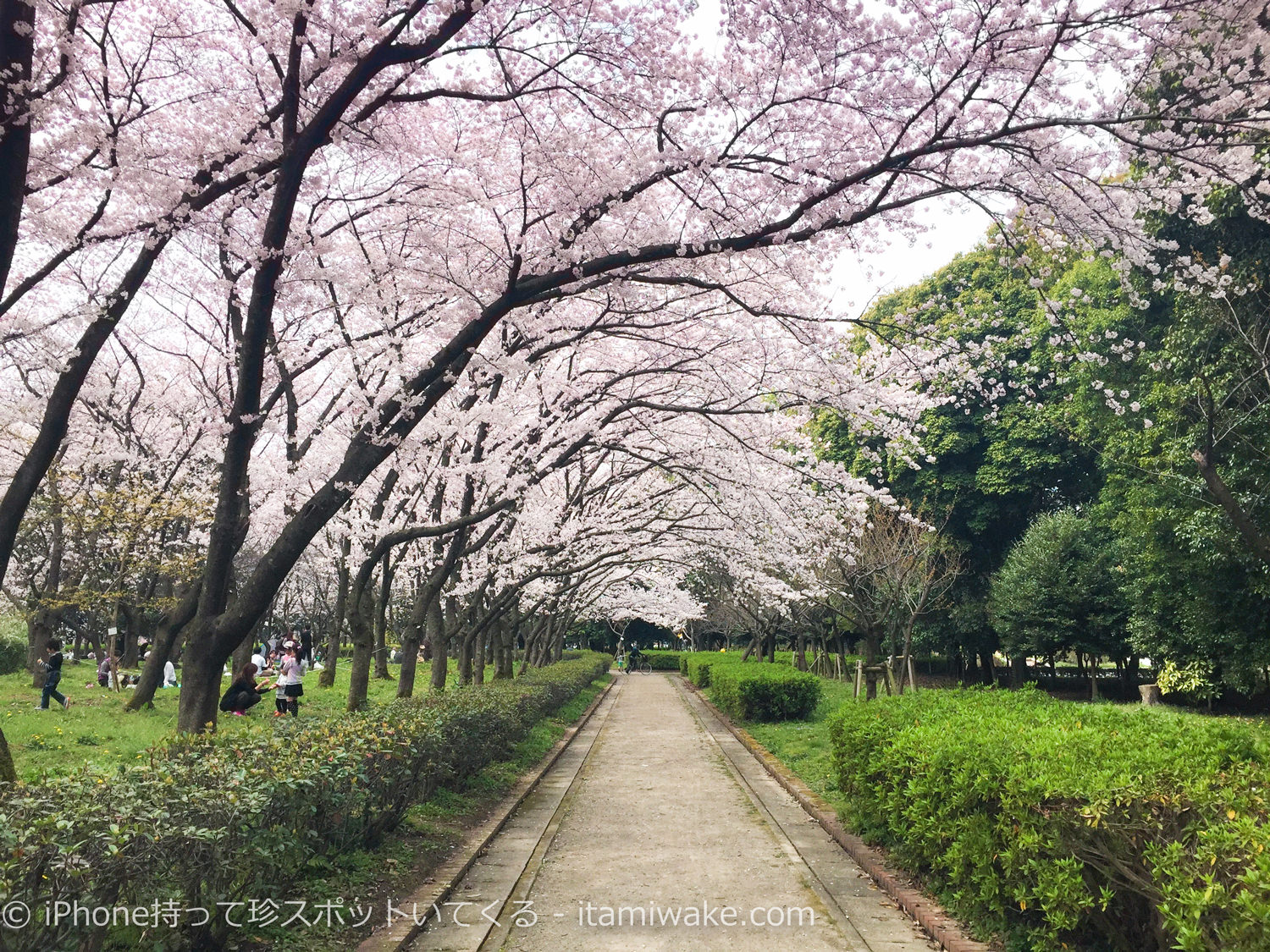 庄内緑地公園