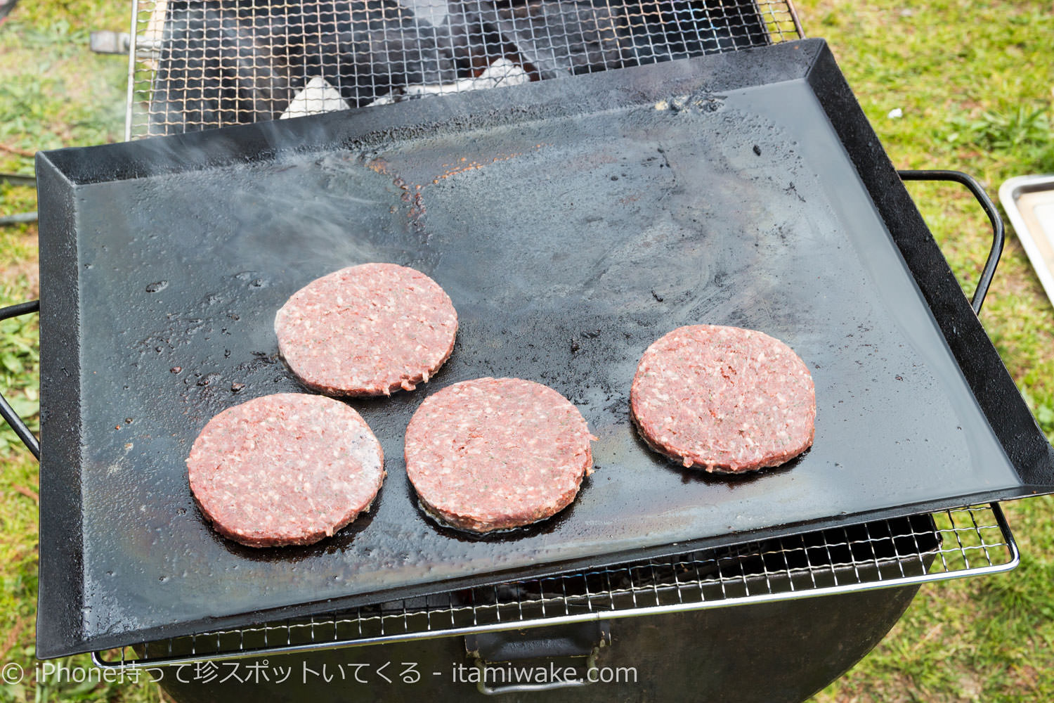 ラクダ肉のパテ