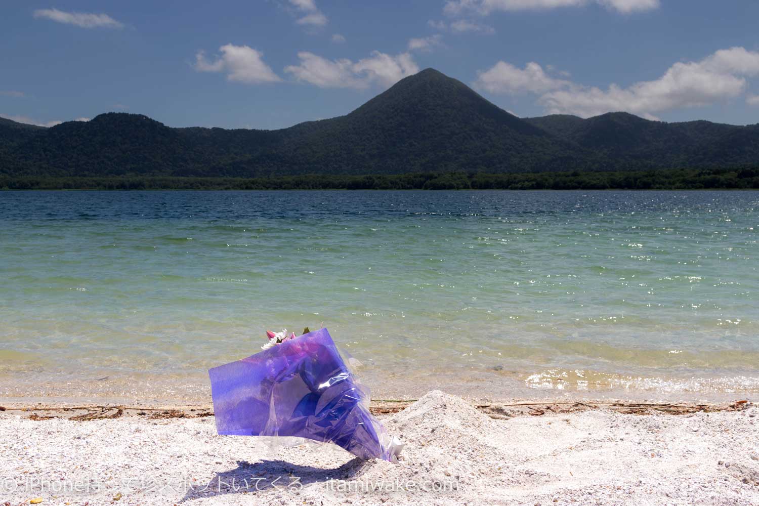 浜辺の花束