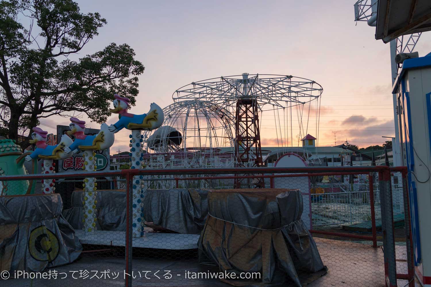 遊園地の夜景