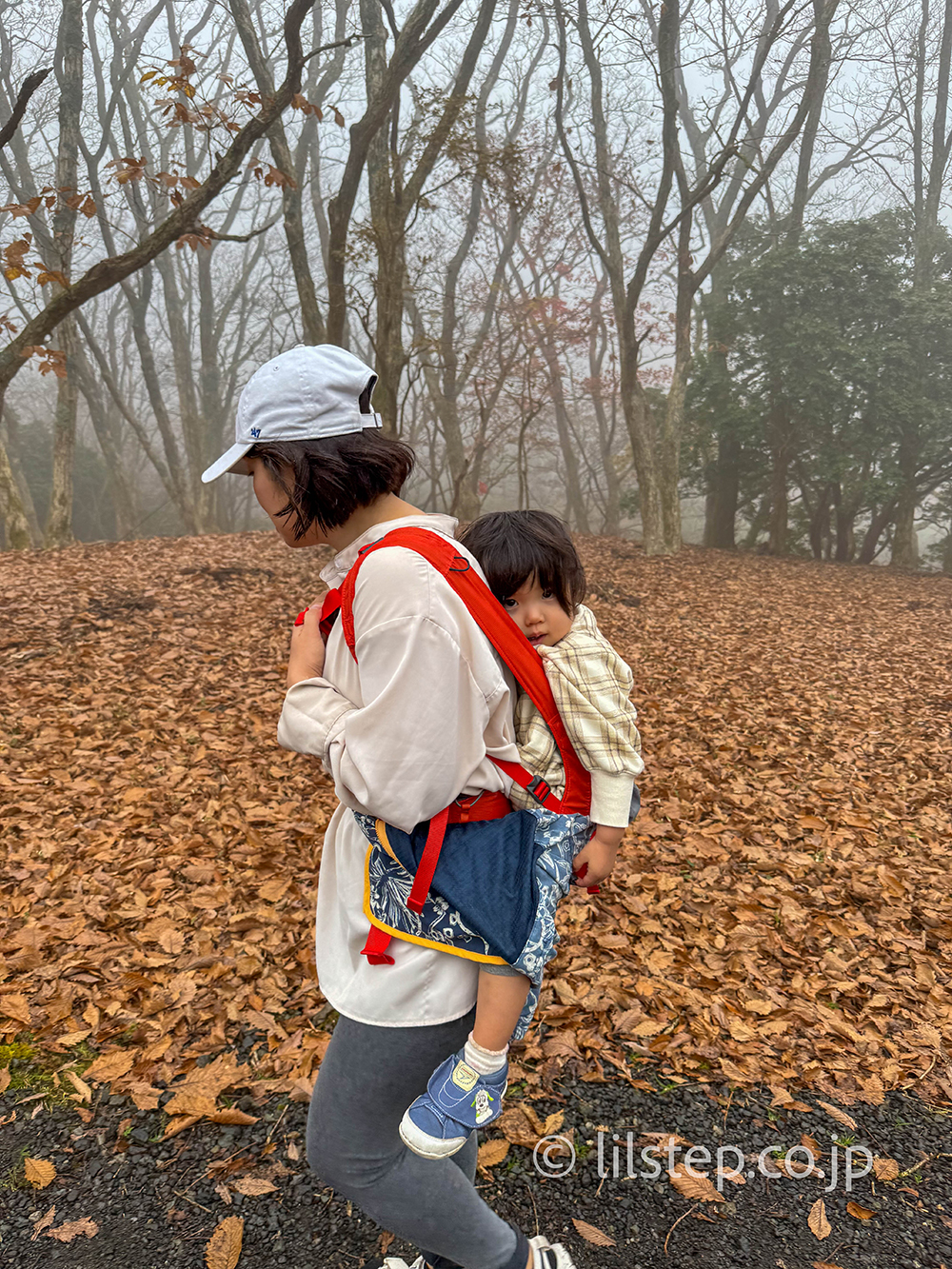 山の中で背負われる2歳児